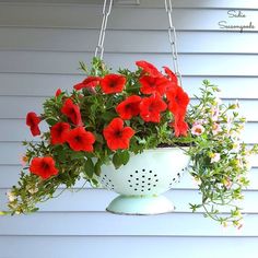 red flowers are growing in a white hanging planter on the side of a house