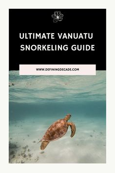 the ultimate guide to snorkeling in the water with an image of a turtle swimming