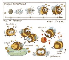 the stages of bees in different ways