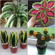 crocheted flowers and cactuses are featured in this collage