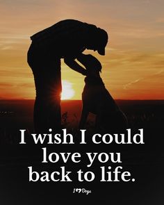 the silhouette of a man and his dog against an orange sky with words that read, i wish i could love you back to life