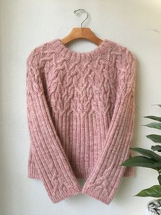 a pink sweater hanging on a wall next to a potted plant