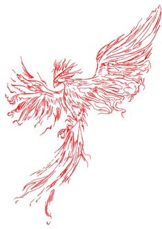 a drawing of a red bird flying with wings spread out and its body is covered in feathers