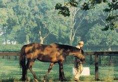 a man is walking his horse through the grass in front of a fence and trees