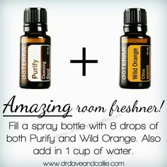 Doterra Purify, Essential Oil Spray Recipes, Terra Essential Oils, Doterra Oils Recipes, Diy Essential Oil Recipes, Essential Oil Remedy, Essential Oil Spray