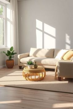 a living room filled with furniture and a potted plant on top of a coffee table