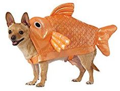 a dog dressed in an orange fish costume