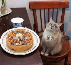 a cat sitting in front of a plate with a waffle on it and the caption reads, tattoo i just did that i really like me