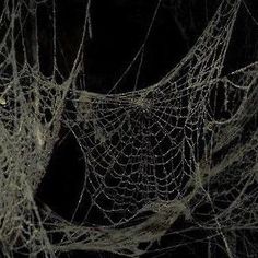 spider webs in black and white on a dark background