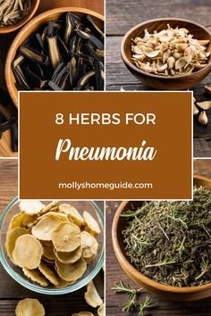 Discover the power of herbal remedies for pneumonia with a strong respiratory support tea blend. Herbs like Lobelia, Mullein, Elecampane, Lungwort, and Osha root can provide essential relief. Clear out mucus and detoxify your lungs naturally with these effective herbs known for their respiratory health benefits. Explore the best tea options to support your lungs and aid in fast recovery during pneumonia. Incorporate foods that help cleanse and nourish your lungs as part of home remedies for pneu Herbal Remedies For Pneumonia, Osha Root Benefits, Herbs For Pneumonia, Herbs For Respiratory Health, How To Dry Mullein Leaves, Mucus Relief Remedies, Natural Remedies For Pneumonia, Lung Tea, Remedies For Pneumonia