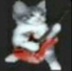 a blurry photo of a cat playing an electric guitar with its paw on the neck