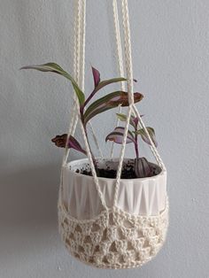 a plant hanging from a rope with some plants in it's pot holders on the wall