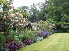 a lush green lawn surrounded by lots of flowers