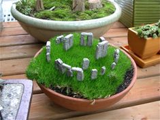 two potted plants sitting on top of a wooden table next to each other with moss growing in them