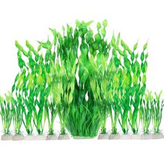 MyLifeUNIT Artificial Aquarium Plants, 13 Pack Plastic Seaweed Water Plants for Fish Tanks (Green) Plants For Fish Tanks, Green Aquarium, Artificial Aquarium, Fish Tank Plants, Aquarium Ornaments, Aquarium Plants, Aquarium Lighting