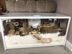 a large white cabinet filled with lots of animals in it's display case on top of a carpeted floor