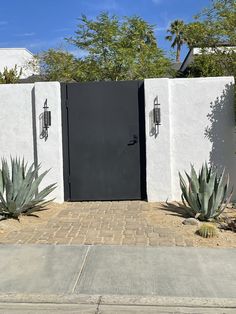 an entrance to a home with two large cactus plants in the foreground and a white stucco wall behind it