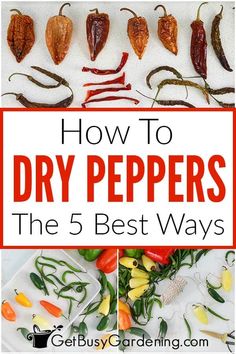 how to dry peppers in the 5 best ways - get busy gardening tips for beginners