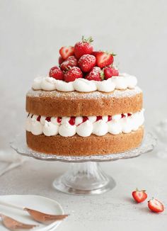 a cake with strawberries and whipped cream on top