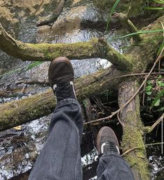 a person standing on top of a fallen tree next to a river in the woods