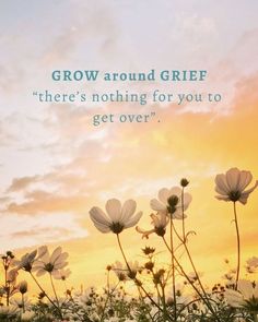 some white flowers are in the grass and there is a quote about grow around gritf