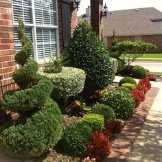 some bushes and trees in front of a house