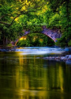 a river flowing under a bridge surrounded by trees