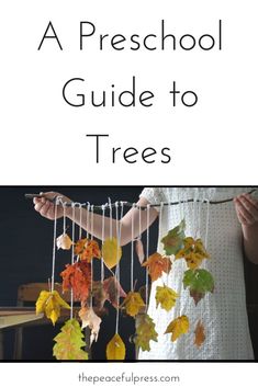 a person holding a mobile with leaves hanging from it and text overlay that reads, a preschool guide to trees