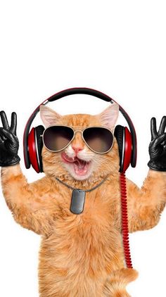 an orange cat wearing headphones and holding up two hands with one hand in the air