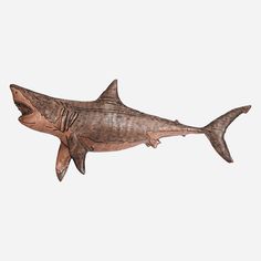 a wooden shark is shown against a white background