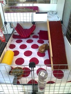 a bird cage with red and white polka dot fabric on the floor next to a water bottle