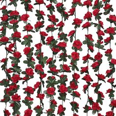 a bunch of red flowers with green leaves on white background, seamless wallpaper