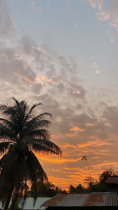 a palm tree is silhouetted against an orange and blue sky with clouds in the background