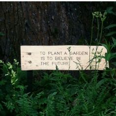 a wooden sign sitting in the middle of some plants next to a tree with words written on it