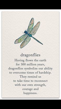 a card with an image of a dragonfly on it's back and the words,