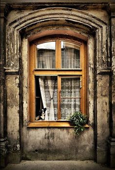 an old building with a cat sitting on the window sill