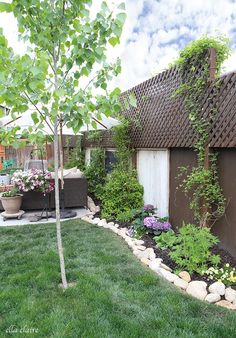 a backyard with lots of plants and rocks