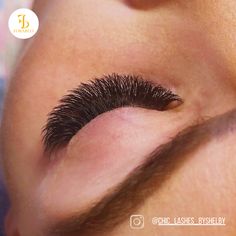 Create incredible Lash Extensions Sets with Forabeli Elite Eyelash Extensions Glue

Here's one lash set created by @chic_lashes_byshelby with Forabeli Elite Glue

#EyelashExtensionsGlue #LashSet #VolumeLashSets #LashExtensionsGlueforVolumeLashes" Fox Eye Eyelash Extensions Mapping, Light Hybrid Lash Extensions Map, Mega Volume Lash Extensions Mapping 25mm, Angel Set Lash Extensions Mapping, Wispy Spike Lash Extensions Map, Lash Extension Supplies, Gel Remover, Lash Primer