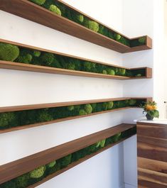 the wall is covered with moss and wooden shelves