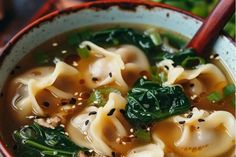 a bowl filled with noodles and spinach in broth