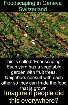 Save Our Earth, Faith In Humanity Restored, Food Forest, Sustainable Architecture, Veggie Garden, Save Earth, Permaculture, Fruit Trees, Garden Planning