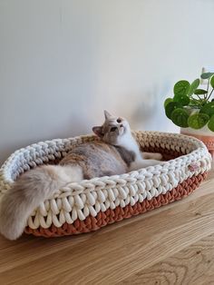 a cat laying in a bed on top of a wooden floor next to a potted plant