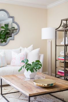 a living room filled with furniture and a plant on top of a wooden coffee table