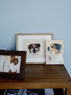 three framed pictures on a wooden table in front of a blue wall with two dogs