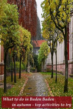 an alley way with trees and leaves on the ground in front of it that says, what to do in baden baden in autumn - top activities to try