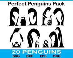 penguin silhouettes and penguins svg files