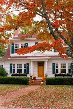 a white house with green shutters and red leaves on the ground in front of it