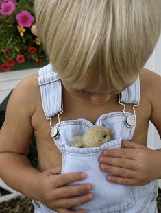 a little boy holding a small bird in his pocket