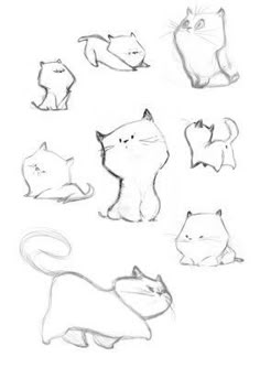 some drawings of cats that are in different positions