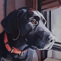 a painting of a black dog with orange collar looking out the window at something outside